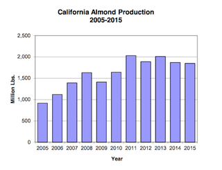 Illustration for article titled A Simple Explanation for the Paradox of How California’s Almonds Boomed in the Drought